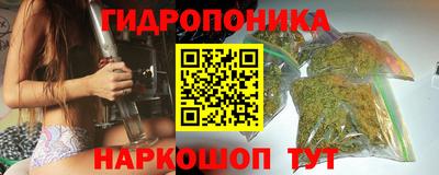 сатива Краснокаменск